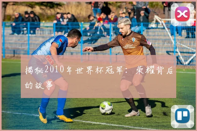 揭秘2010年世界杯冠军：荣耀背后的故事