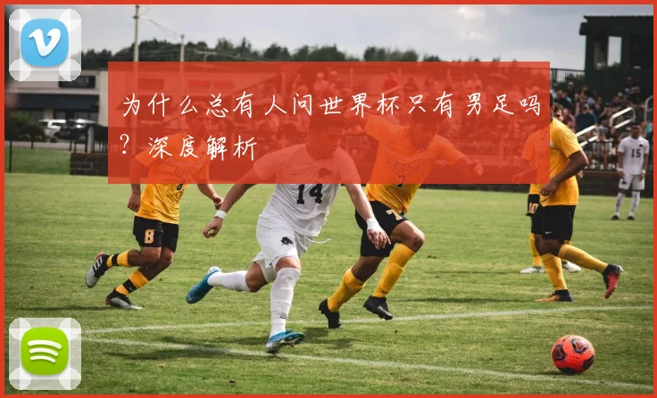 为什么总有人问世界杯只有男足吗？深度解析