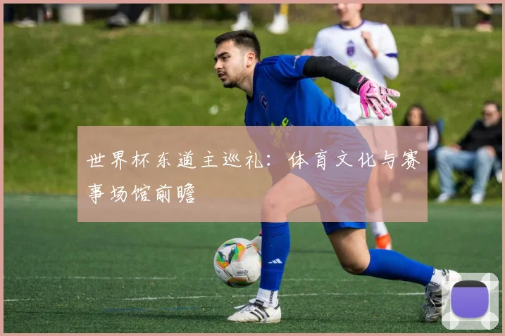 世界杯东道主巡礼：体育文化与赛事场馆前瞻
