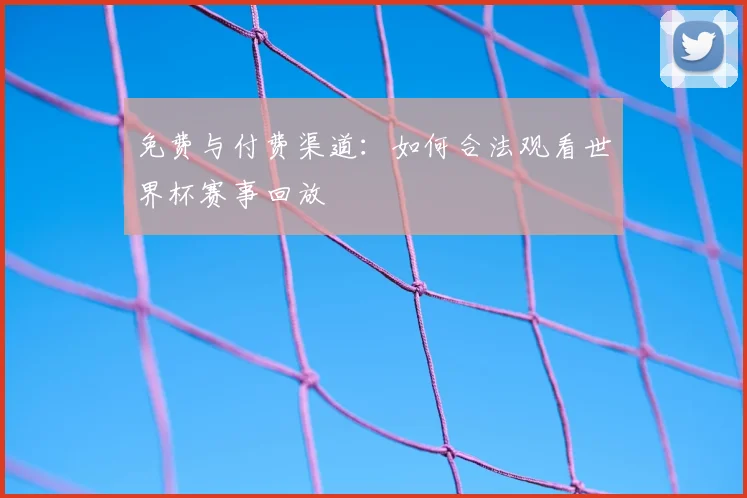 免费与付费渠道：如何合法观看世界杯赛事回放