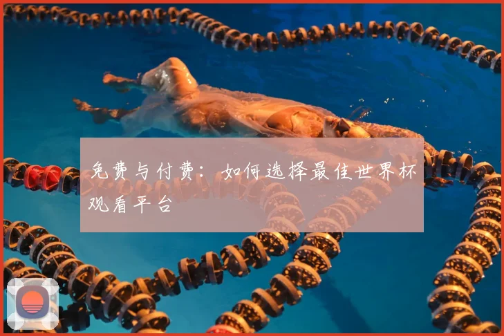 免费与付费：如何选择最佳世界杯观看平台