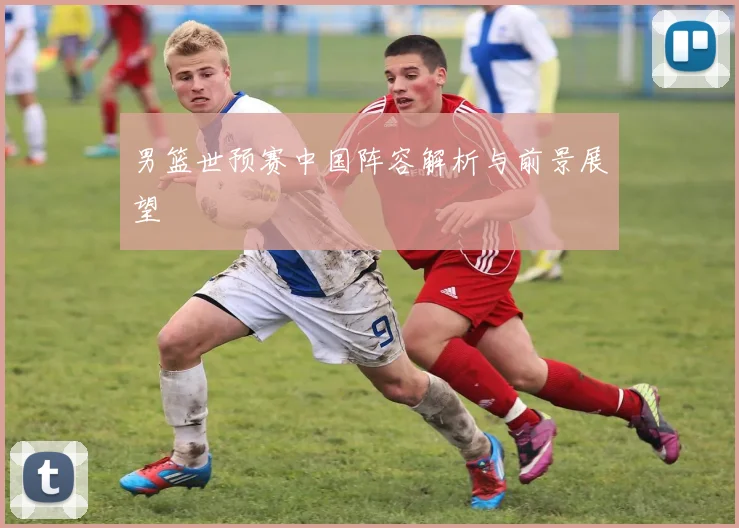 男篮世预赛中国阵容解析与前景展望