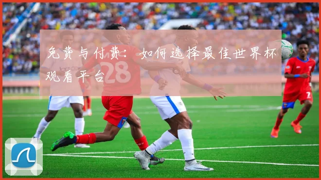 免费与付费:如何选择最佳世界杯观看平台