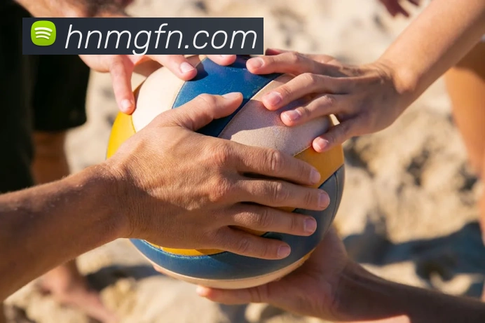 kaiyun.com官网入口APP 封面图